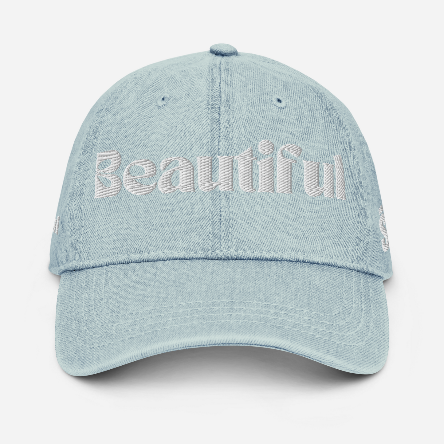 DENIM 6-PANEL CAP